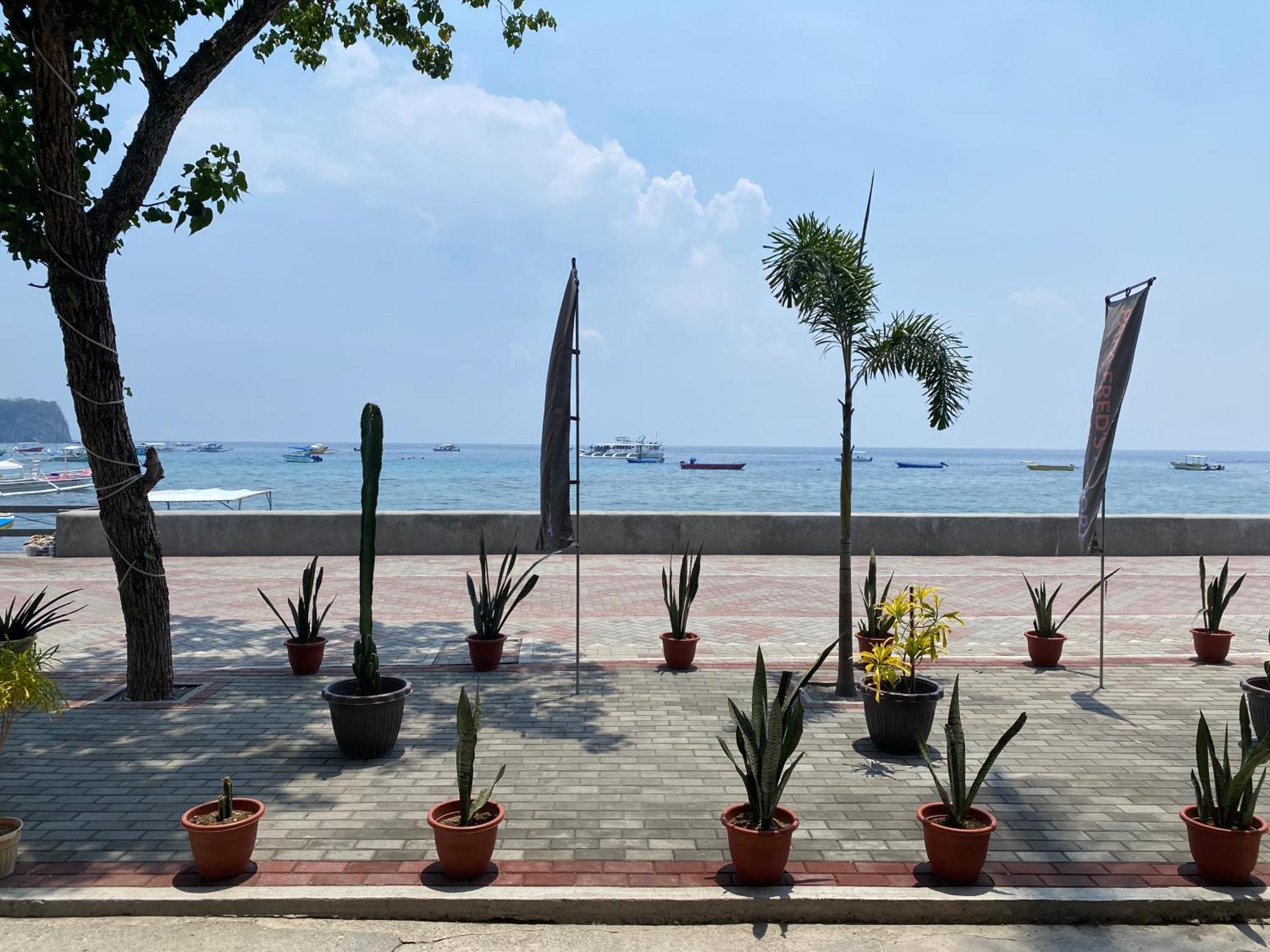 Papa Freds Beach Resort Пуэрто-Галера Экстерьер фото